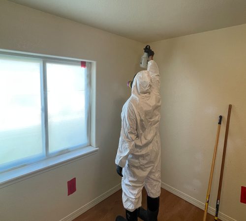 Restoration Professional Conducting Cleanup With Specialized Cleaning Solution