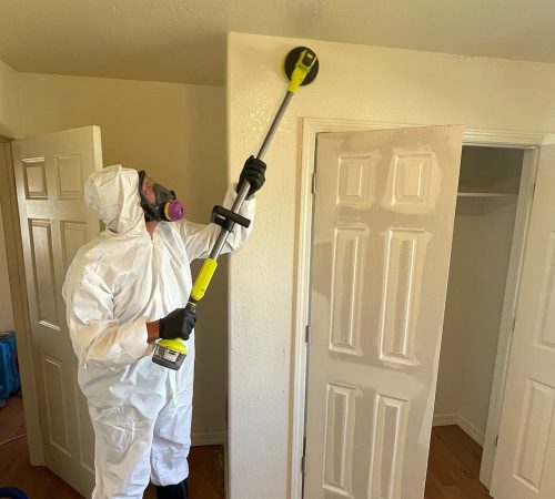Restoration Professional Conducting Cleanup With Specialized Tool On Walls