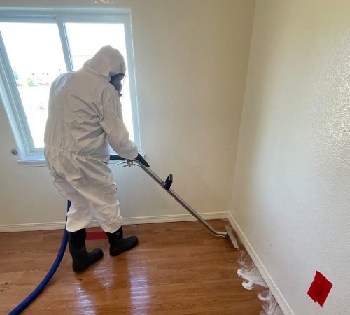 Restoration Professional Conducting Cleanup