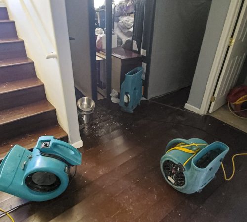 Commercial Grade Air Movers And Water Cleanup And Drying Equipment