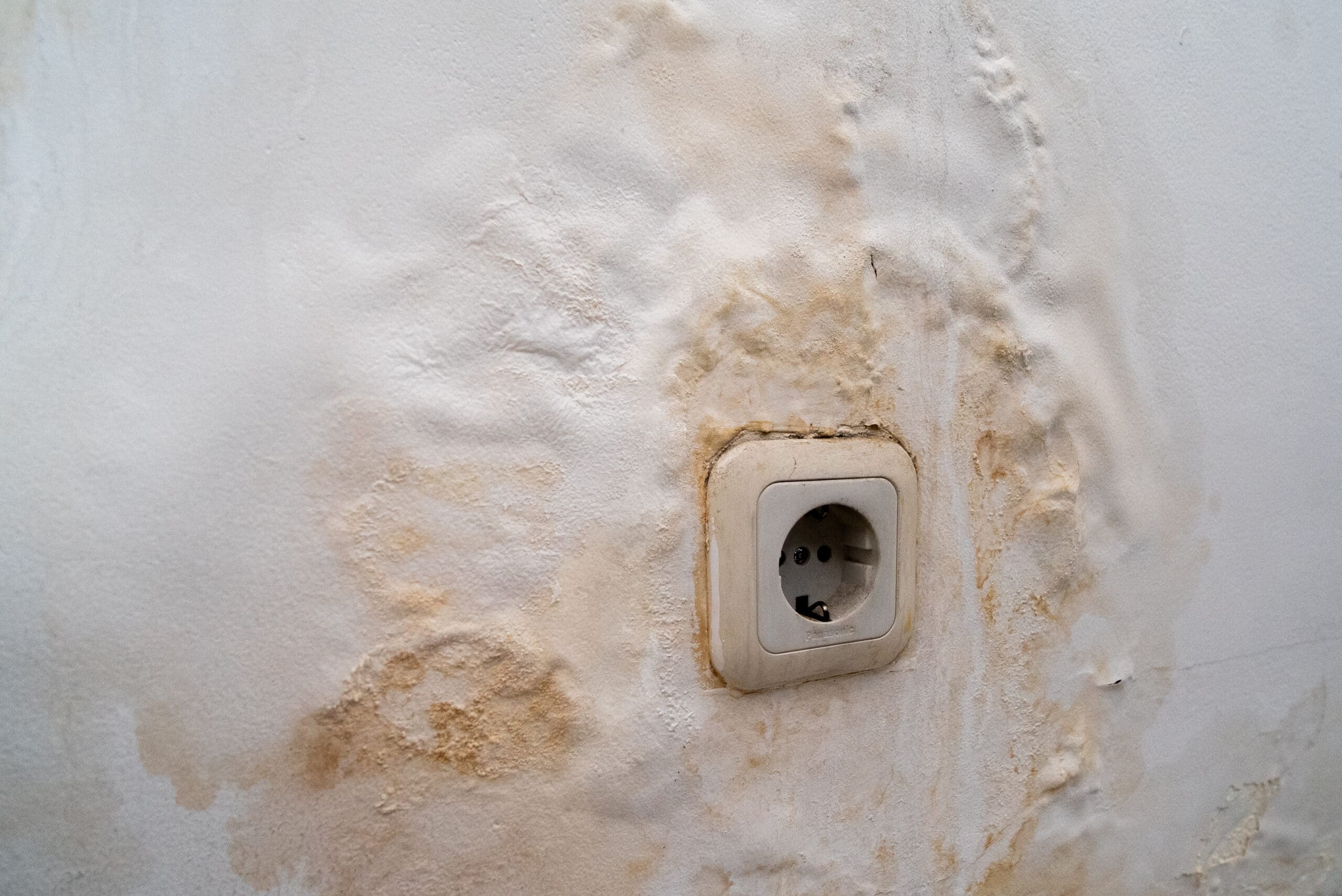 loveland water damage cleanup services