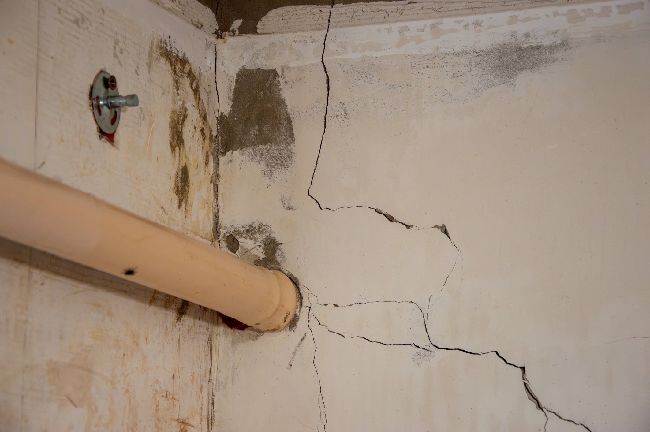water damage company loveland co